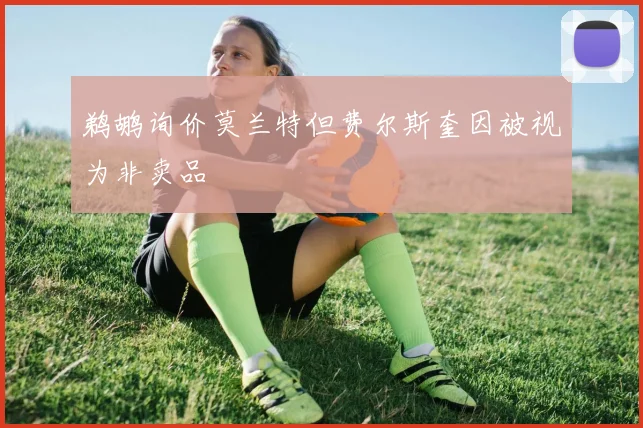 鹈鹕询价莫兰特但费尔斯奎因被视为非卖品