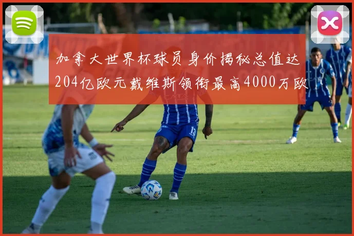 加拿大世界杯球员身价揭秘总值达204亿欧元戴维斯领衔最高4000万欧
