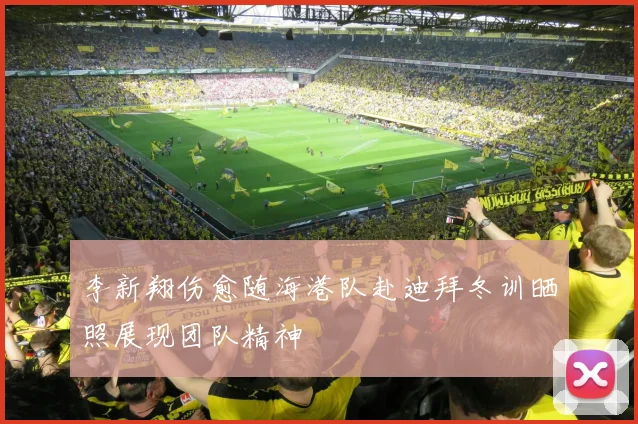 李新翔伤愈随海港队赴迪拜冬训晒照展现团队精神