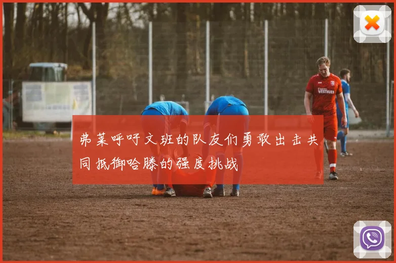弗莱呼吁文班的队友们勇敢出击共同抵御哈滕的强度挑战