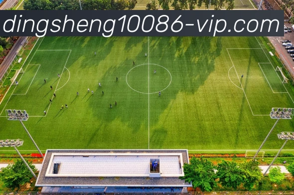 鼎盛娱乐平台生态图